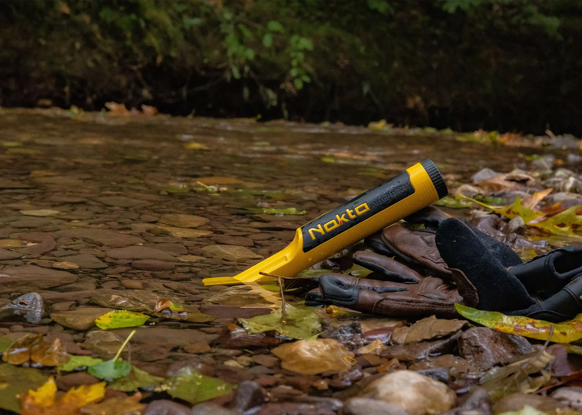 nokta accupoint femkereso.jpg