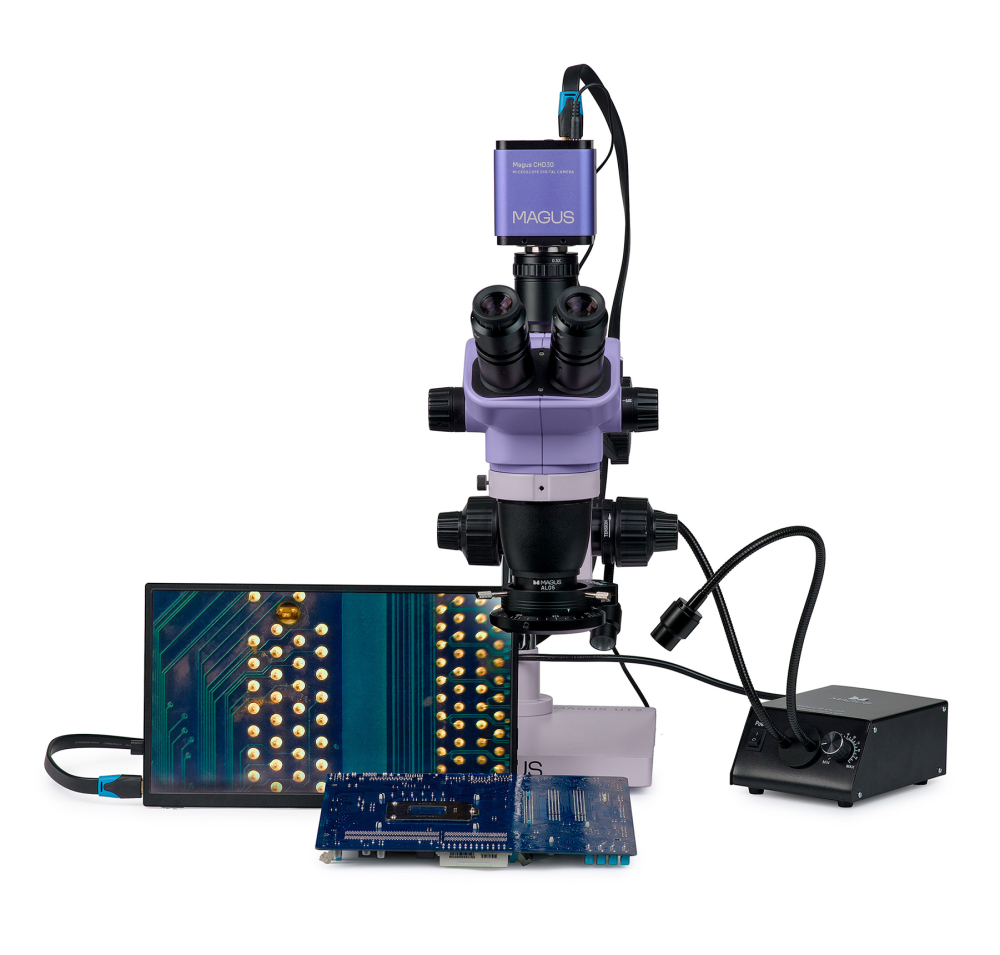 LEV-84846_1.jpg