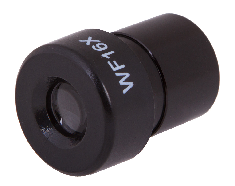 LEV-69421_2.jpg