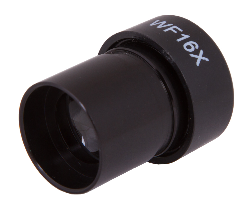 LEV-69421_3.jpg
