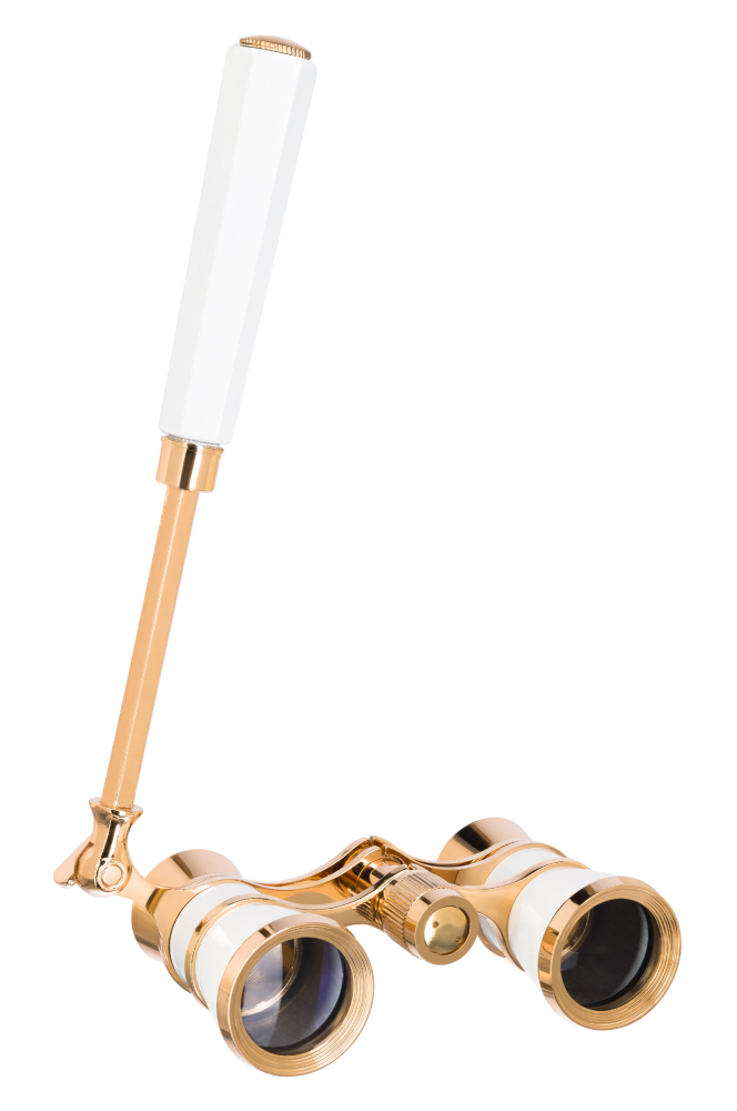LEV-81861_4.jpg