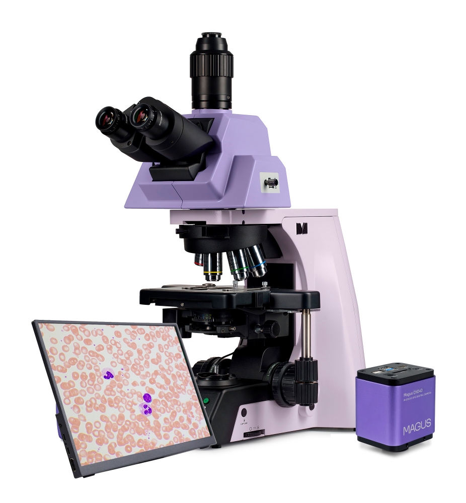 LEV-83288_1.jpg
