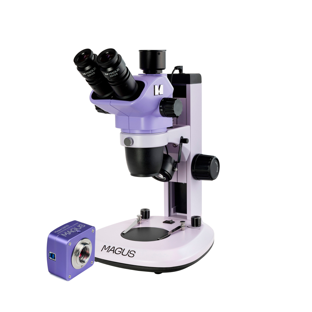 LEV-85278.jpg