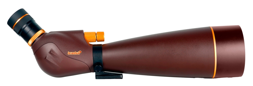 LEV-85937_1.jpg